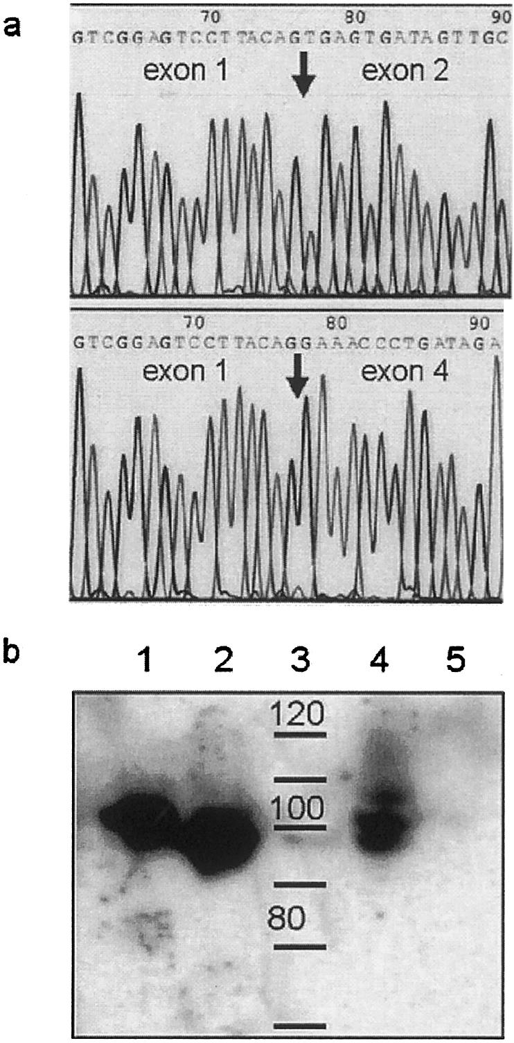 Figure  3