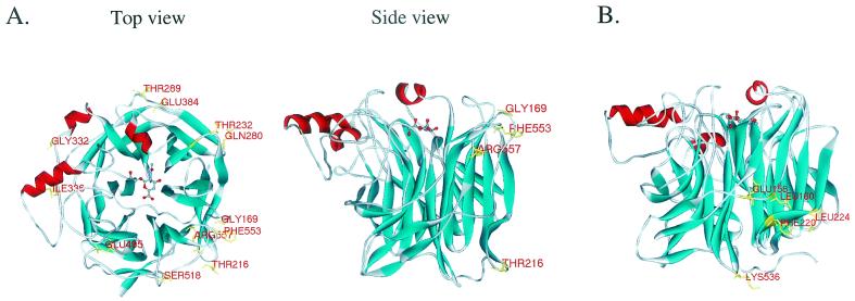 FIG. 1.