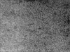 Figure 3a