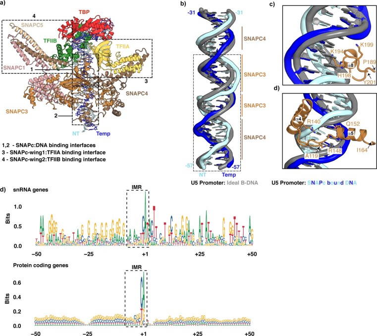 Extended Data Fig. 9