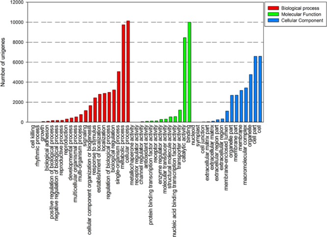 FIGURE 3