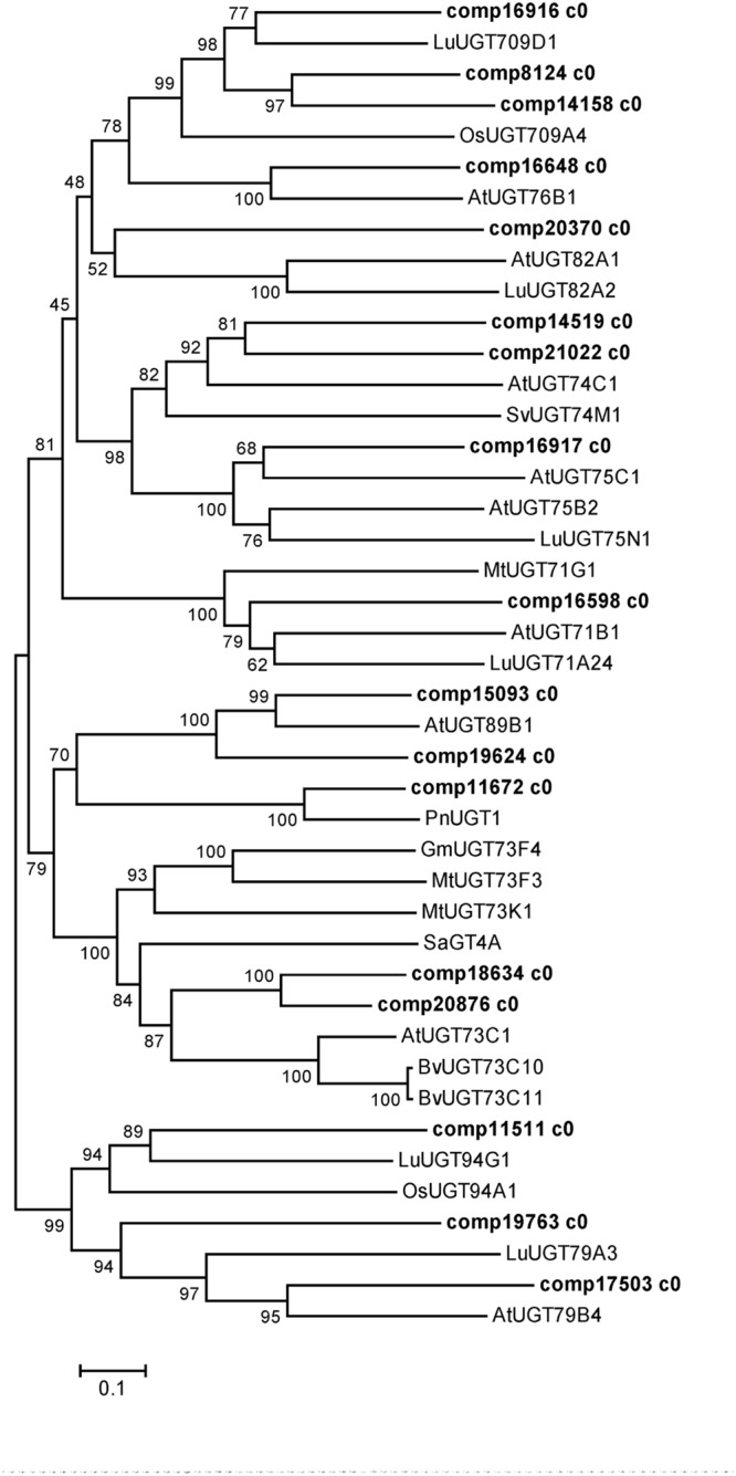 FIGURE 7