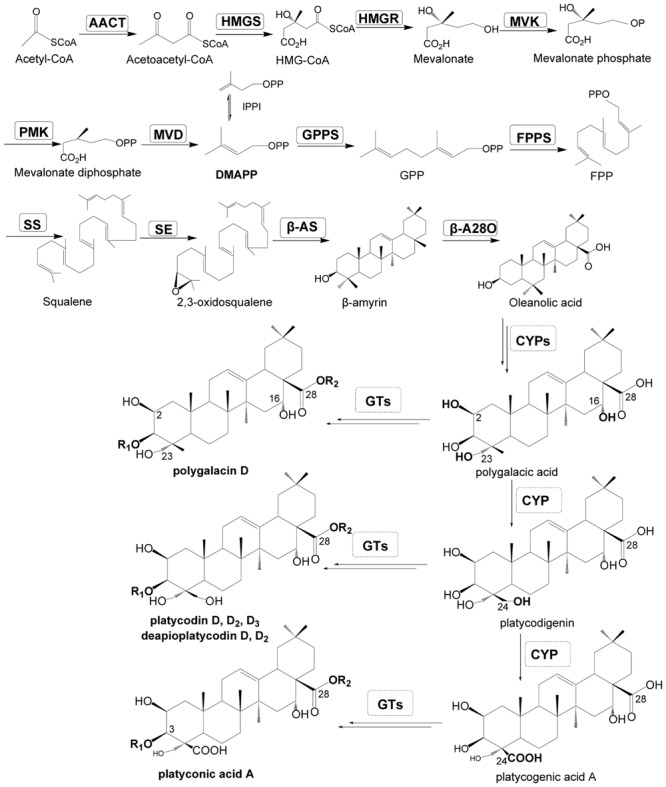 FIGURE 1