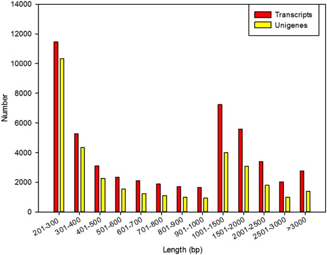 FIGURE 2