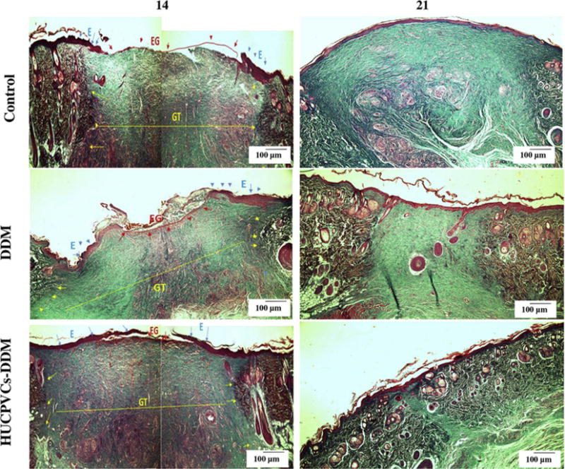 Fig. 8