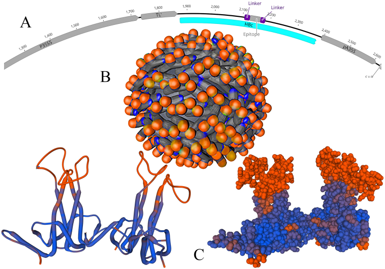 Fig. 4