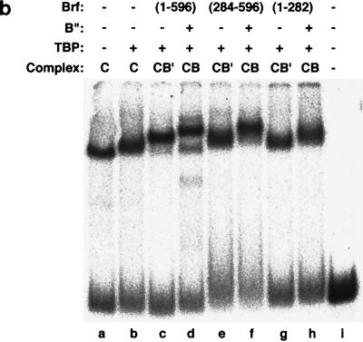 FIG. 8