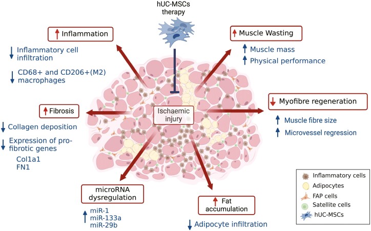 Graphical Abstract