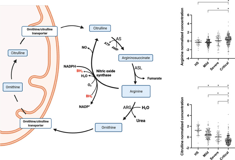 Figure 6