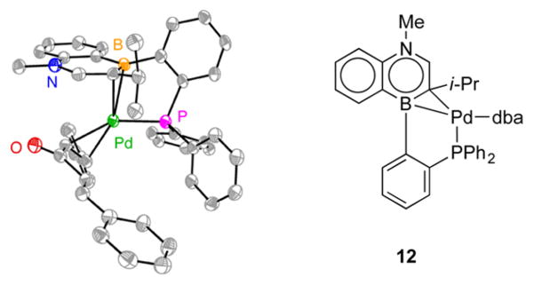 Scheme 5