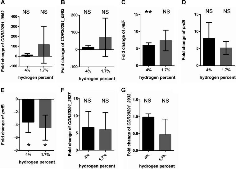 FIG 6