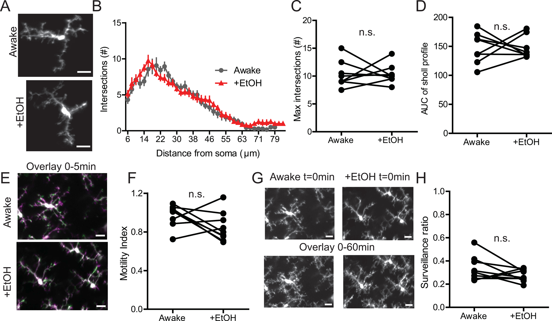 Figure 2|