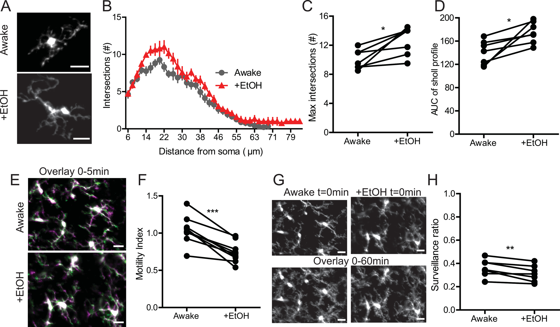 Figure 3|