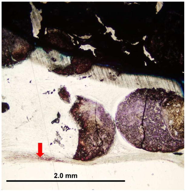 Fig. 10