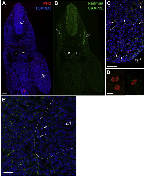 Figure 6