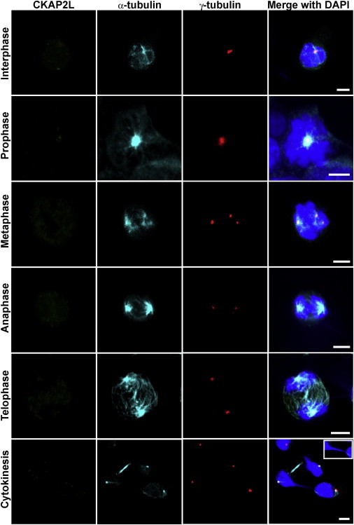 Figure 4