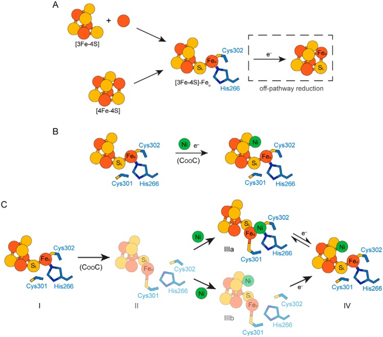 Figure 5.