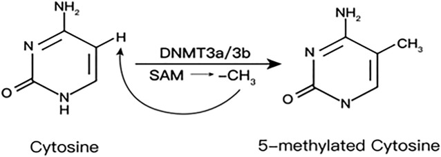 FIGURE 2