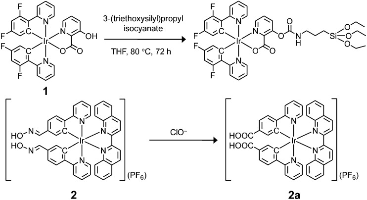 Scheme 1