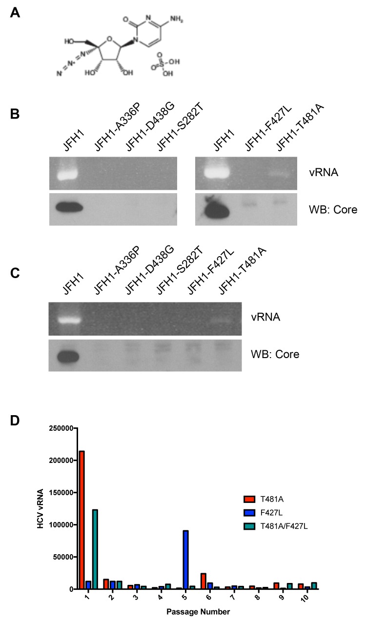 Figure 3—figure supplement 3.