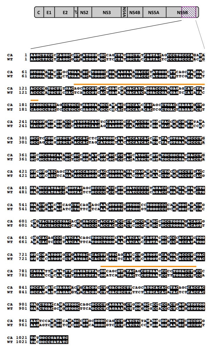 Figure 1—figure supplement 1.