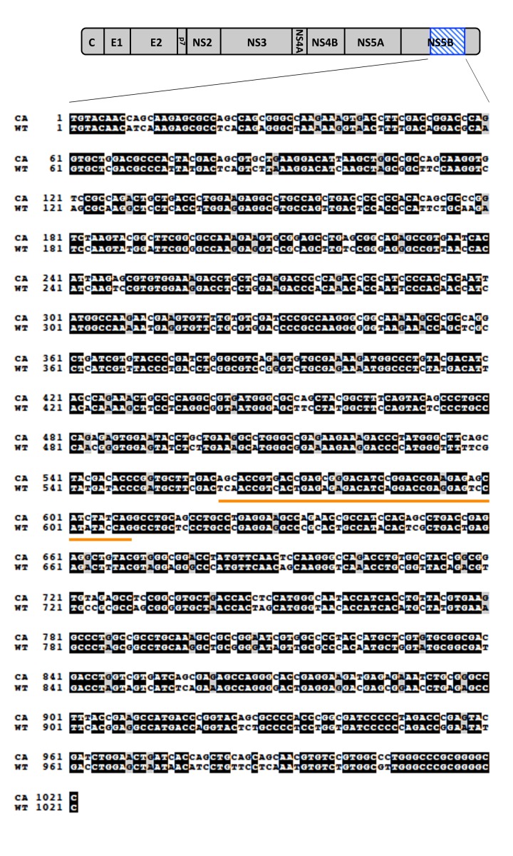 Figure 1—figure supplement 2.