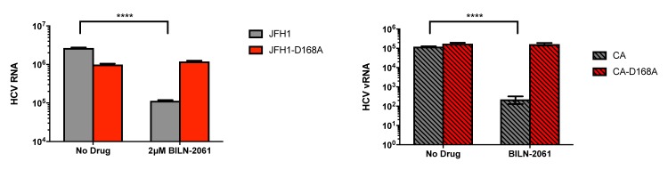 Figure 3—figure supplement 1.