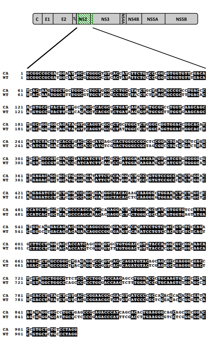 Figure 1—figure supplement 3.