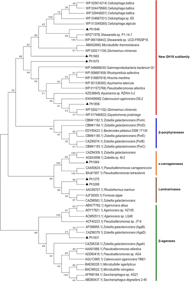 FIGURE 4