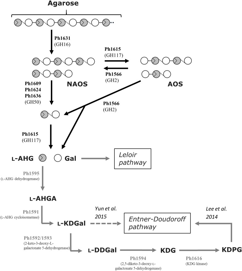 FIGURE 3