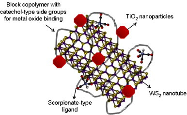 Fig. 12