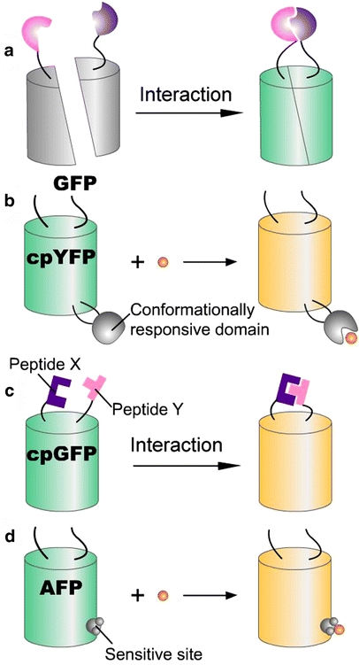 Fig. 6a–d