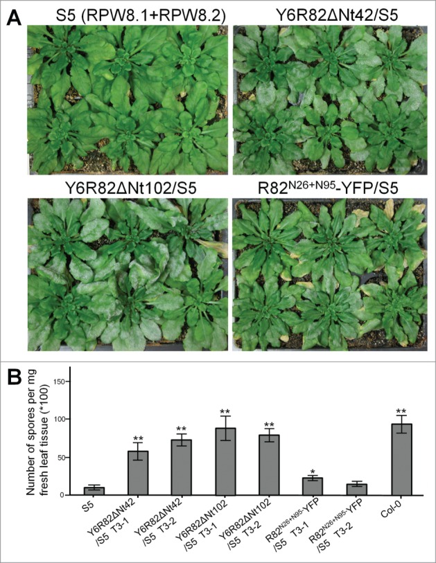 Figure 3.