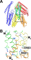 FIGURE 1: