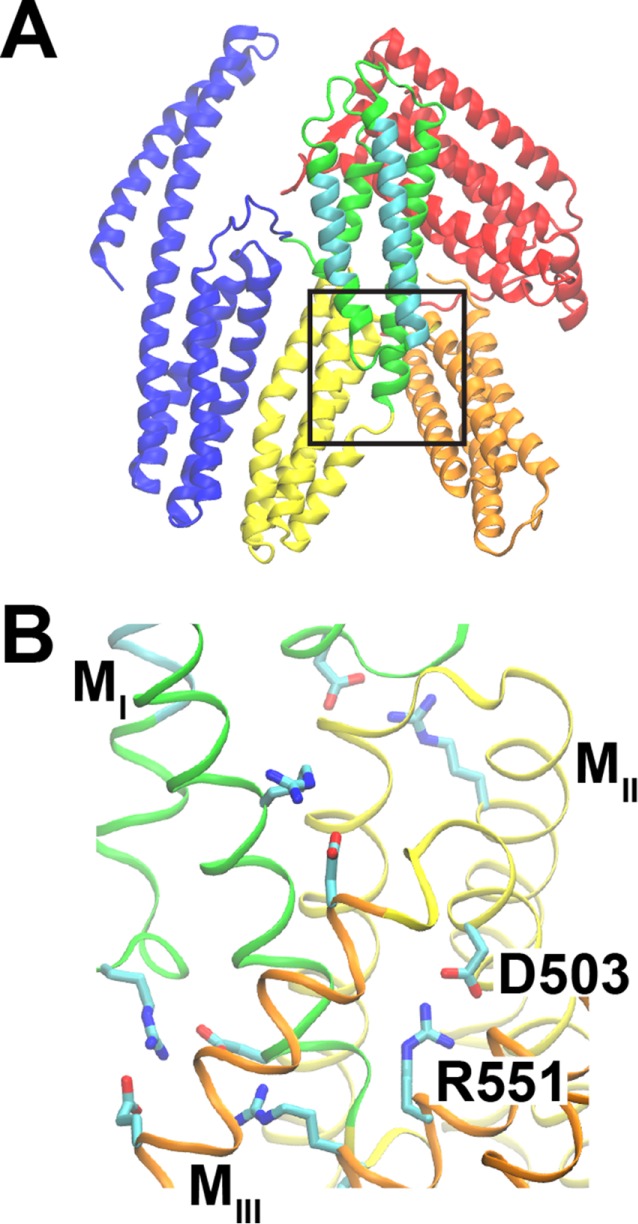 FIGURE 1: