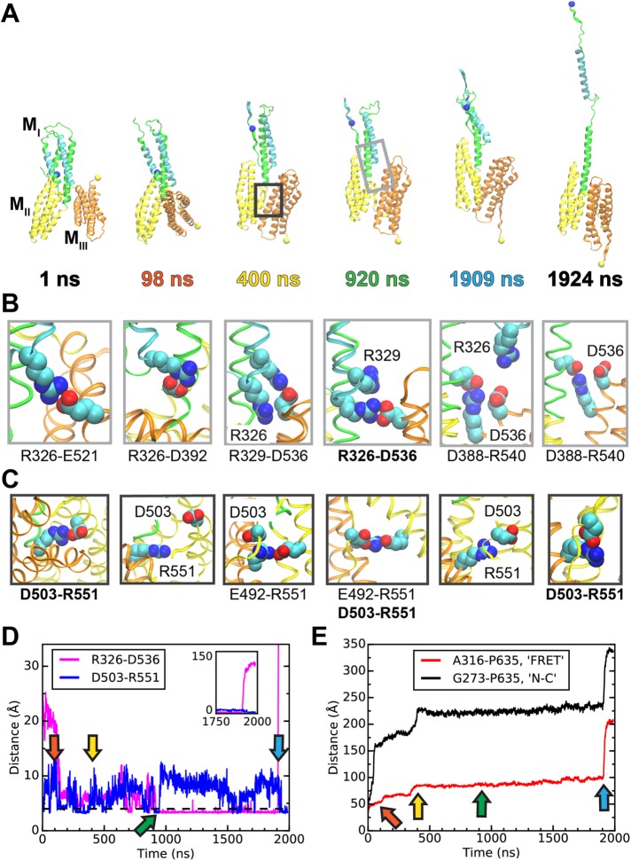 FIGURE 6: