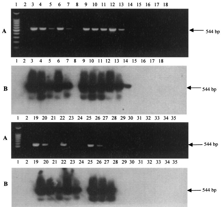 FIG. 1