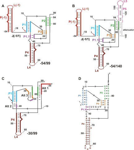 FIGURE 1.