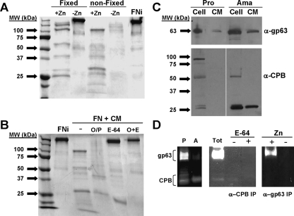 FIG. 5.