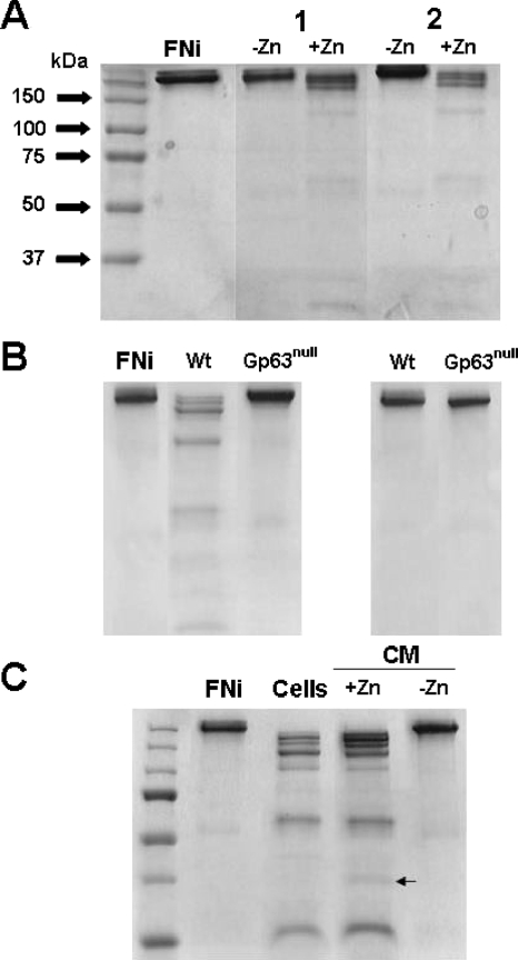 FIG. 4.