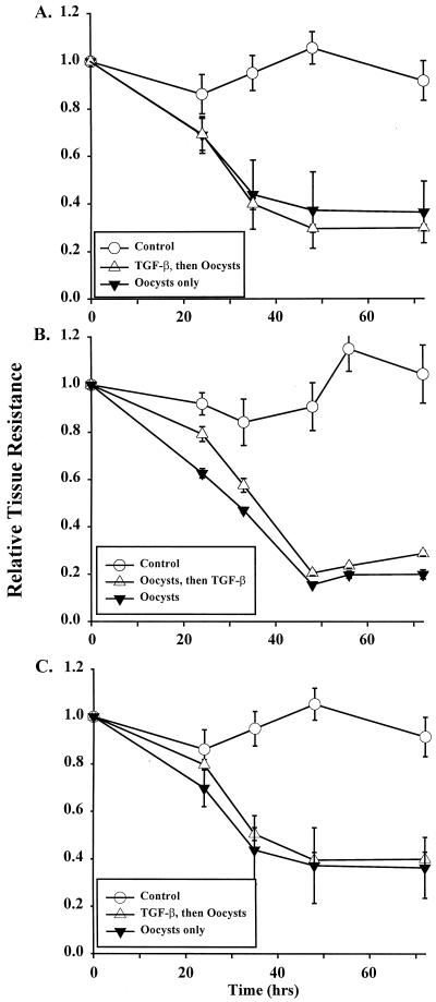 FIG. 5