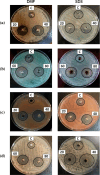 Figure 36