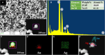 Figure 30