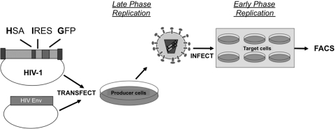 FIG. 1.