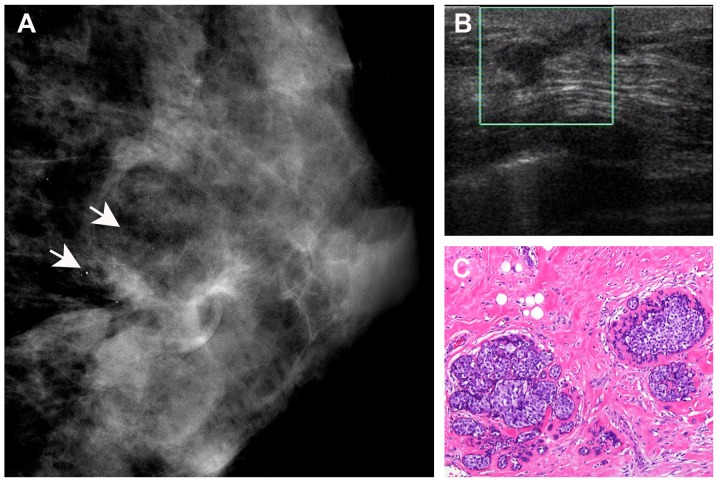 Figure 4.