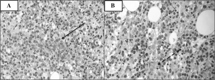 Fig. 2