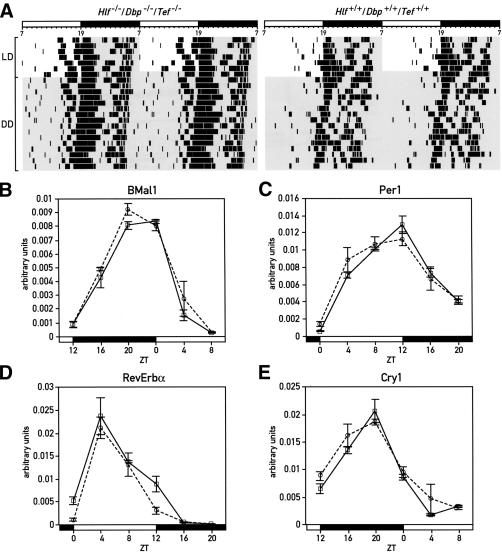 Figure 6.