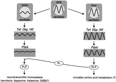 Figure 7.