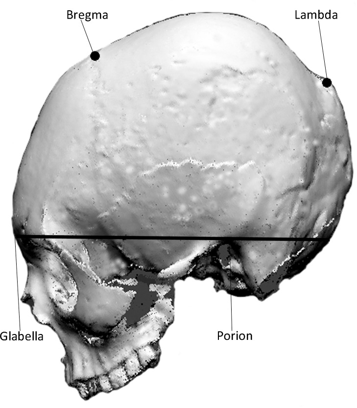 Fig 2
