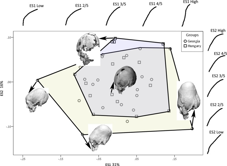 Fig 10